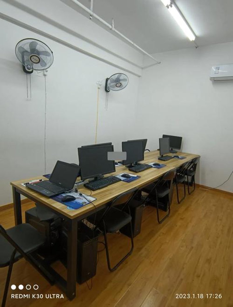 上海网站建设：打造本地品牌新高度